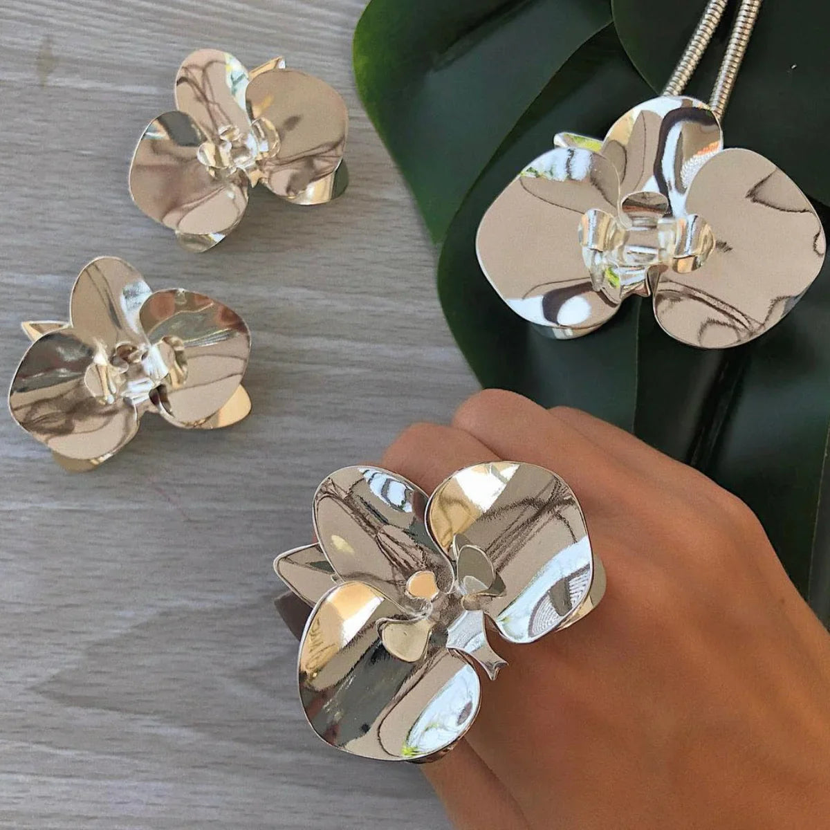 Orquidea Collection