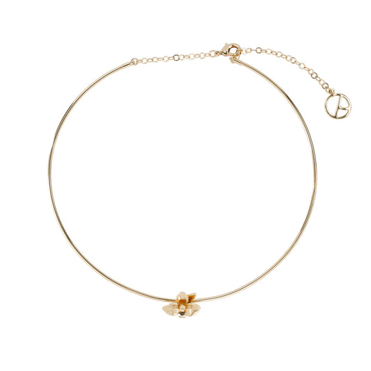 Orquídea xs Choker Gold